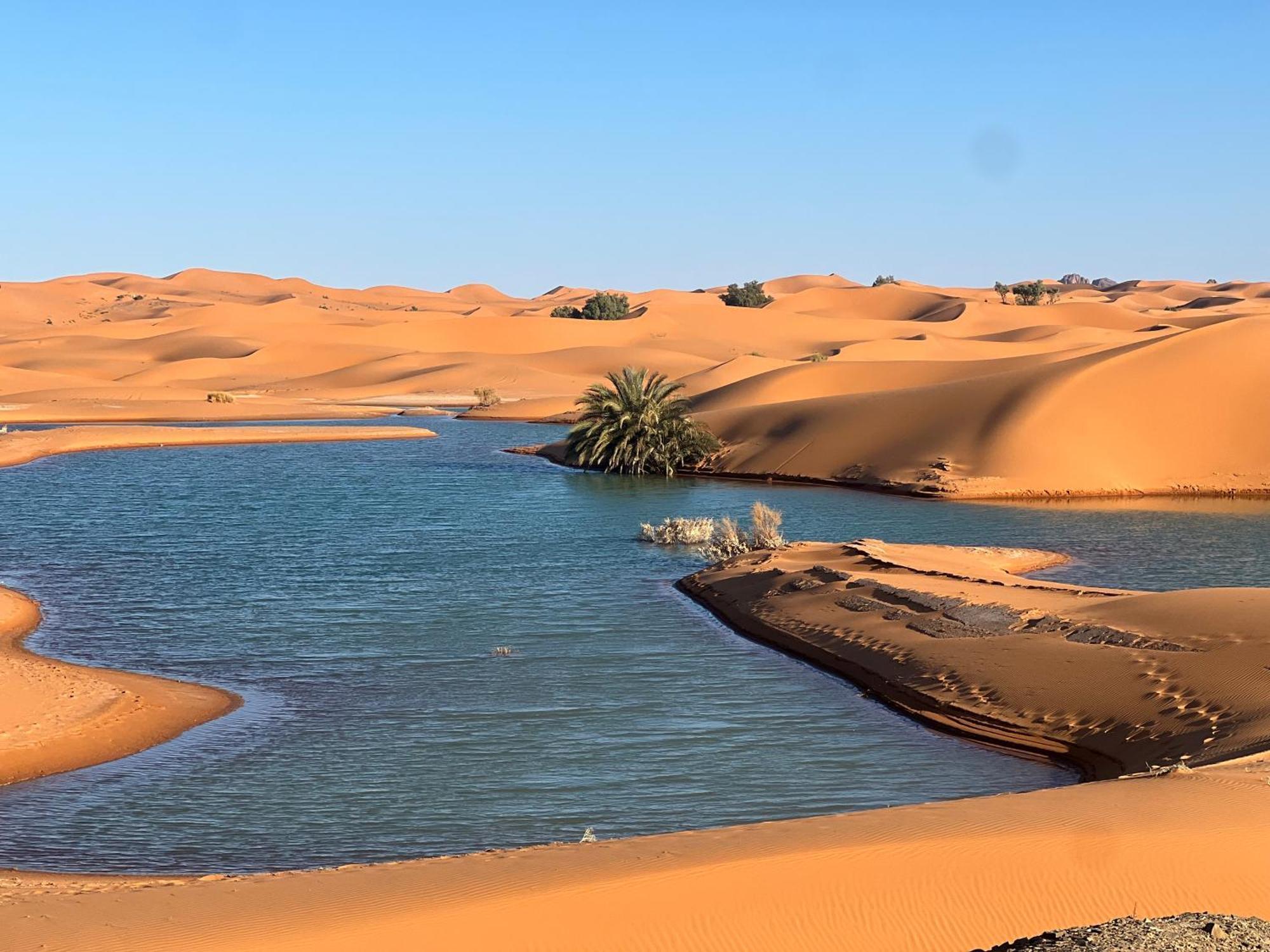 Berber Palace Merzouga Ngoại thất bức ảnh