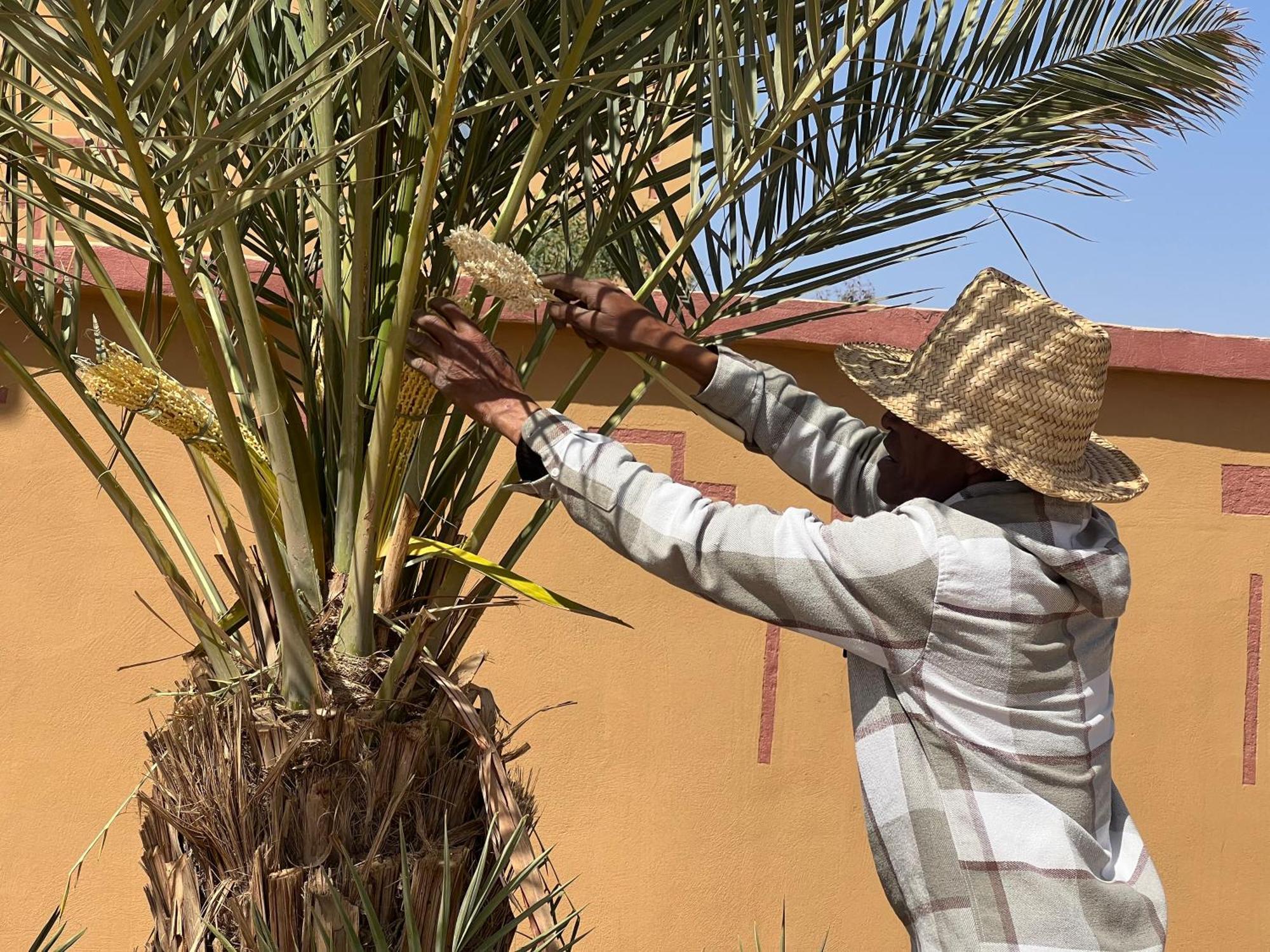 Berber Palace Merzouga Ngoại thất bức ảnh